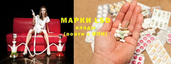 шишки Баксан