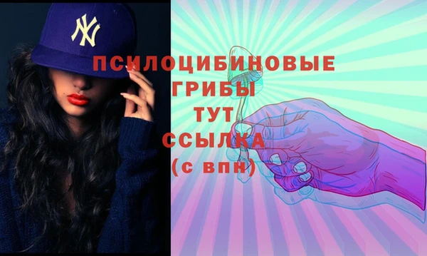 дживик Балахна